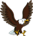 Squawky.png