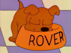 Rover.png