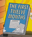 The First Twelve Months.png