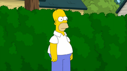 Homer Simpson (Lawyer Guy).png